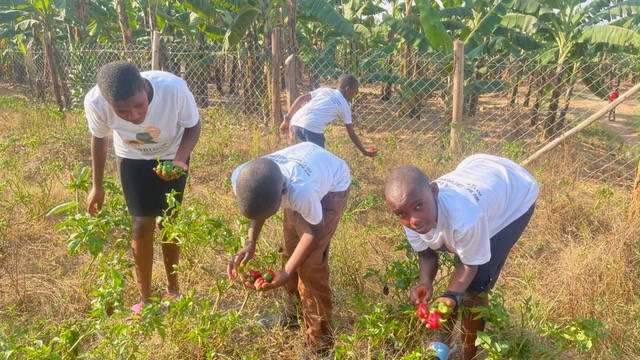 Children learning and working in a community garden